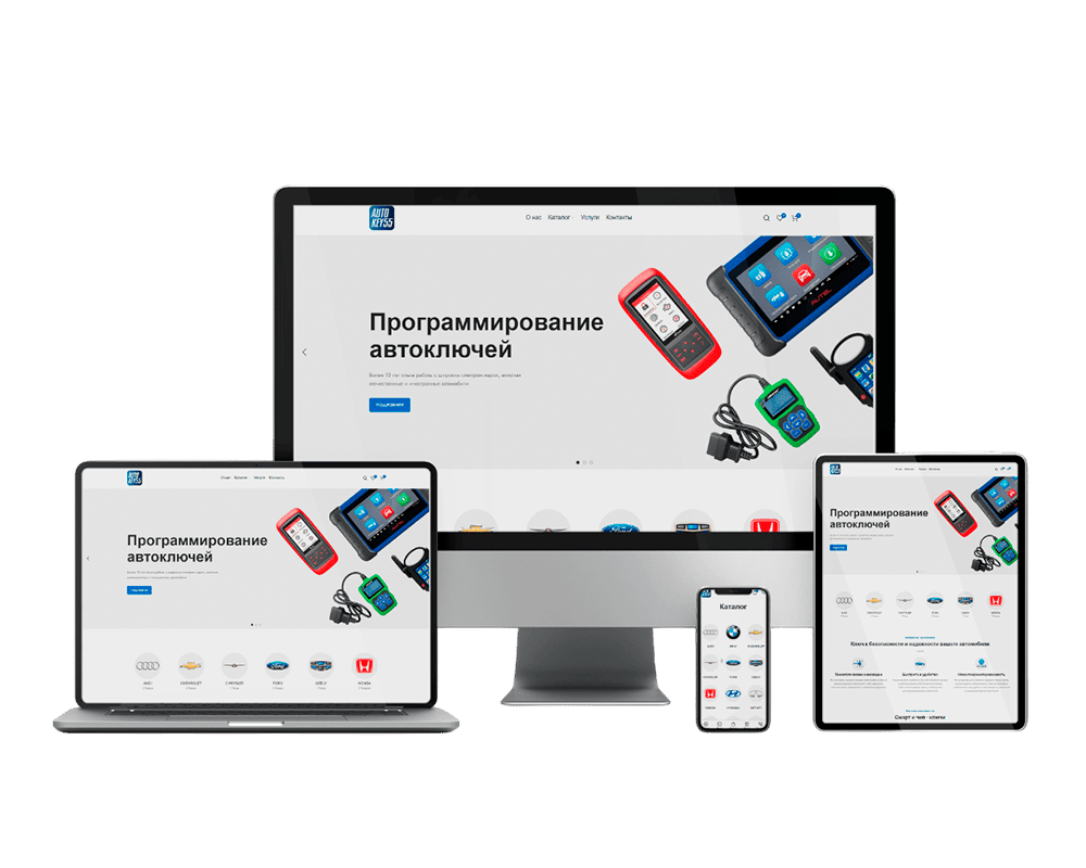 AutoKey55 - интернет-магазин смарт-ключей и чип-ключей для автомобилей в Омске